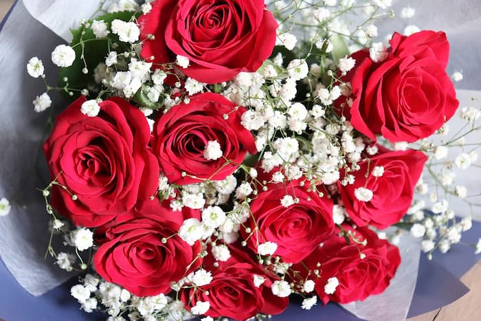 5 Flores para dar para a namorada
